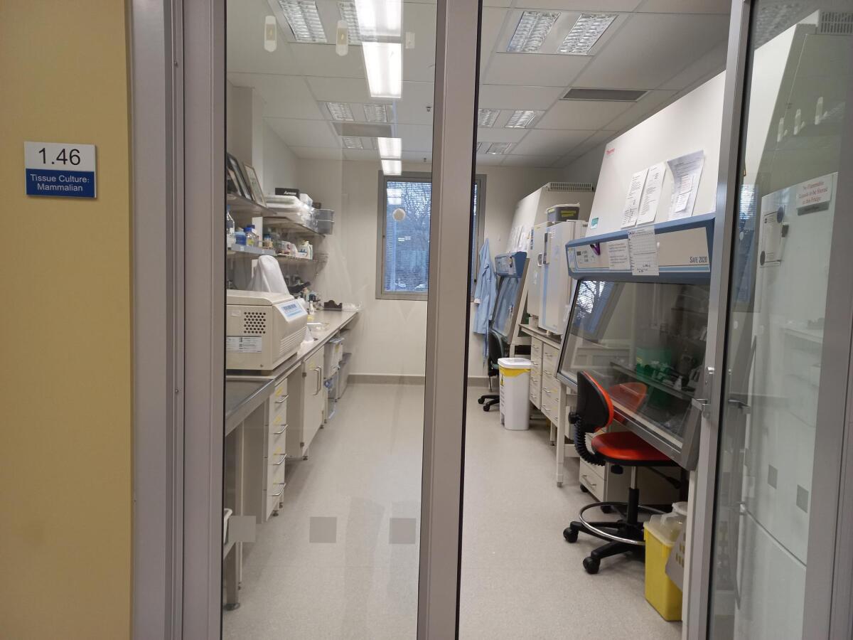 HOP Tissue Culture suite