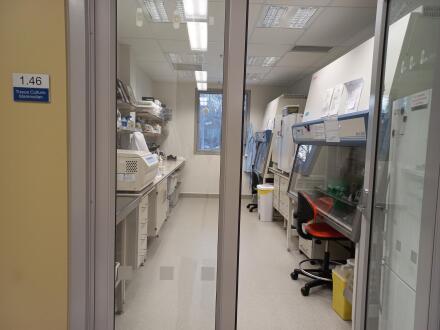 HOP Tissue Culture suite