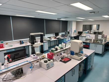 TRR physical food char