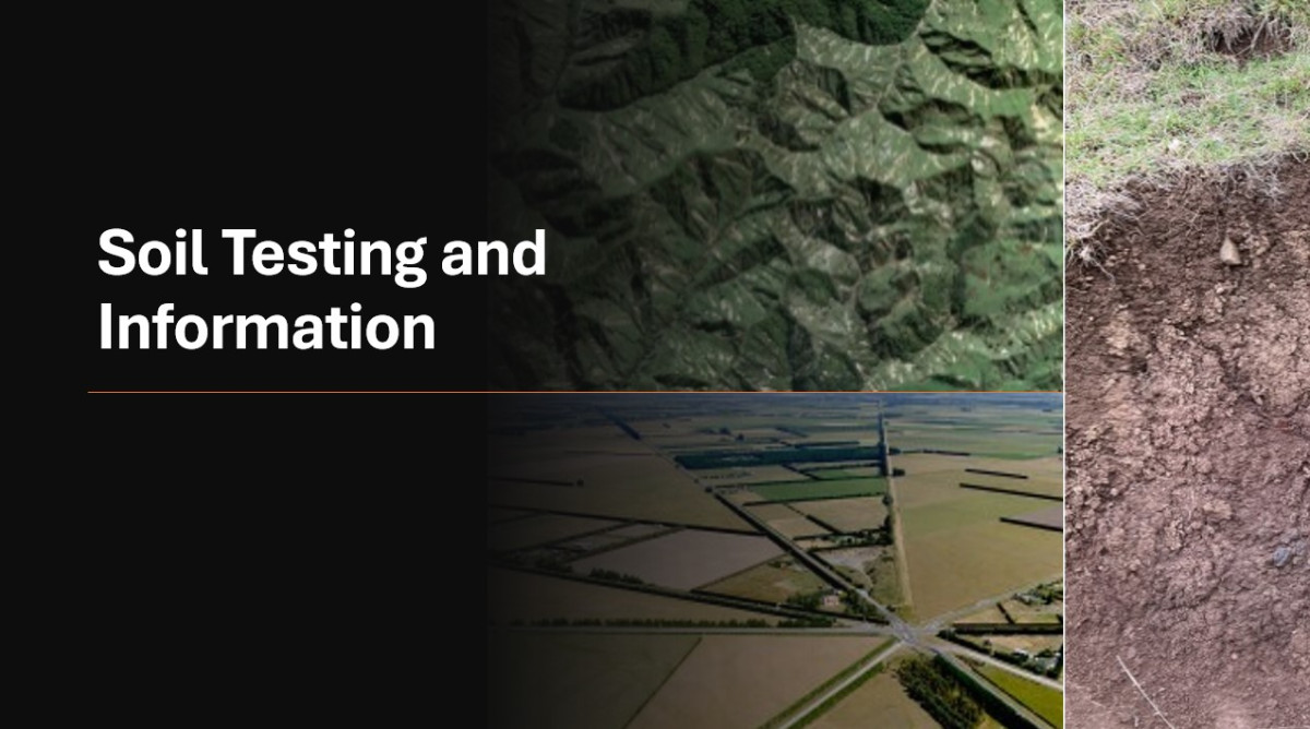 Soil Testing and Information