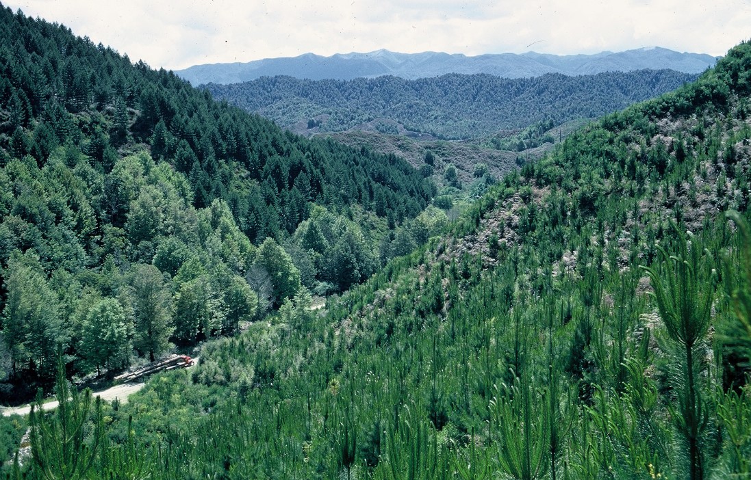 Forest Health Database