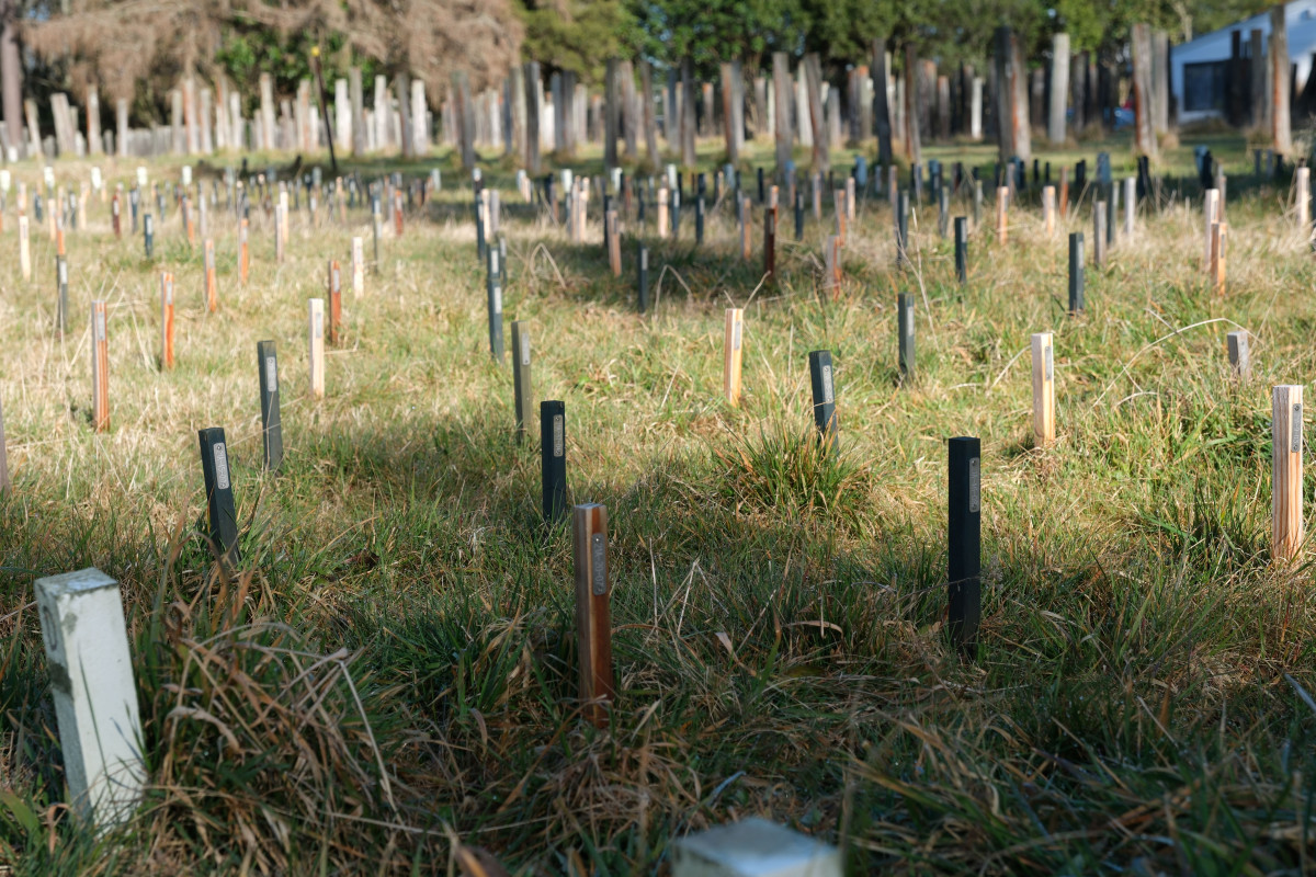 National Wood Performance Archive (‘Graveyard’) | Kitmap