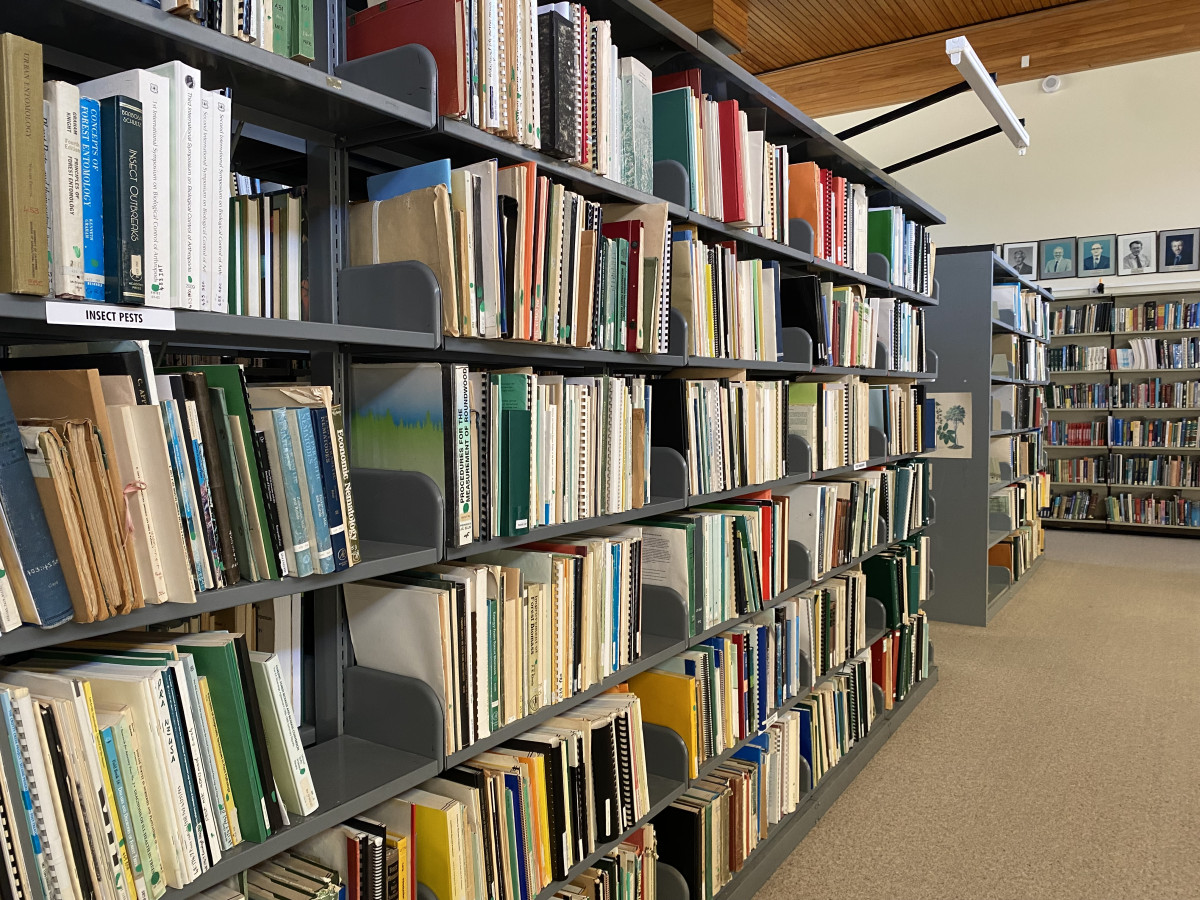 Library