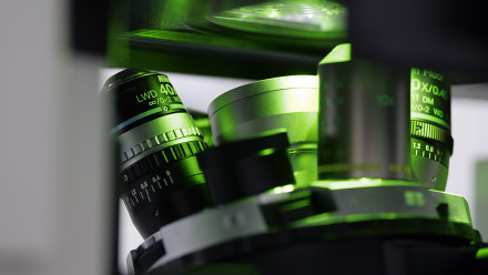 OpticalMicroscopyLab18