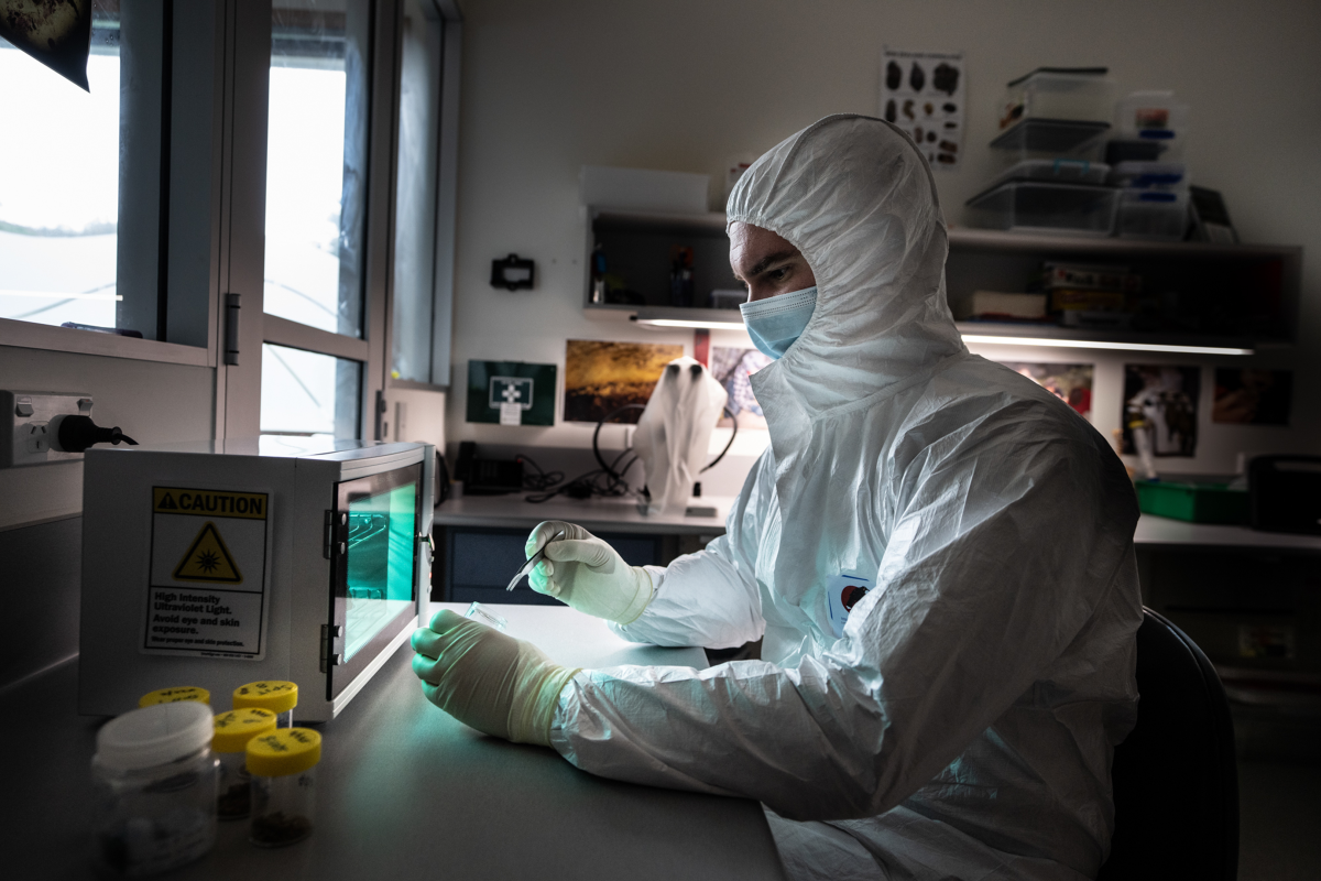 Bioeconomy Science Institute